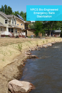 river bank stabilization,