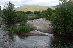 river resoration, habitat enhancements